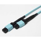 OM3 MPO to MPO 12 Fiber Cable 10G Multi-Fiber