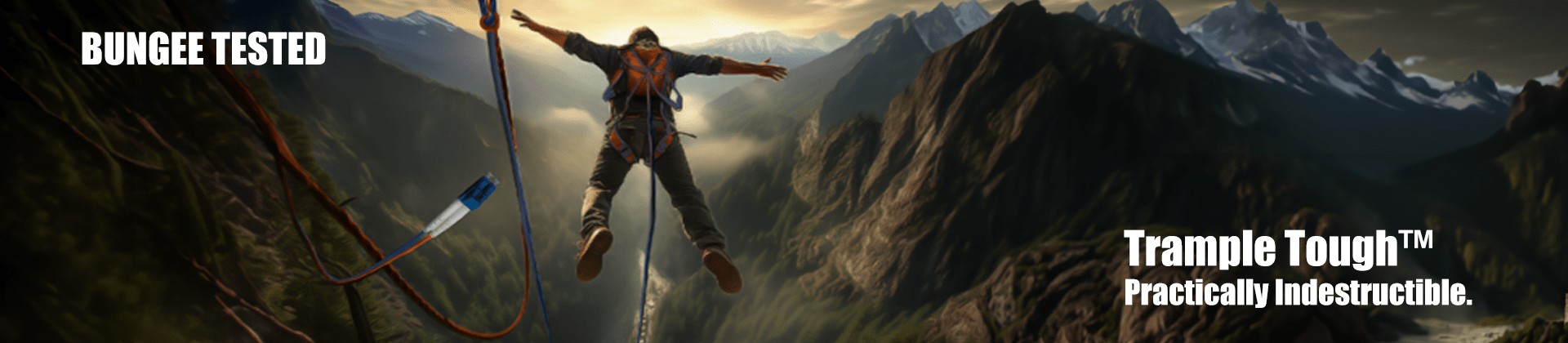 bungee_optimized